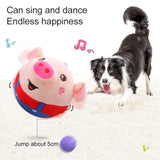 Kids Dancing Piggy Ball Toy