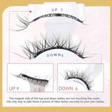 Magnetic Eyelashes Pair of 1 Beauty & Personal Care