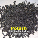 Organic Potash Fertilizer 350gm Quirky Home Essentials