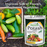 Organic Potash Fertilizer 350gm Quirky Home Essentials