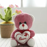 Kids Love Quote Soft Teddy